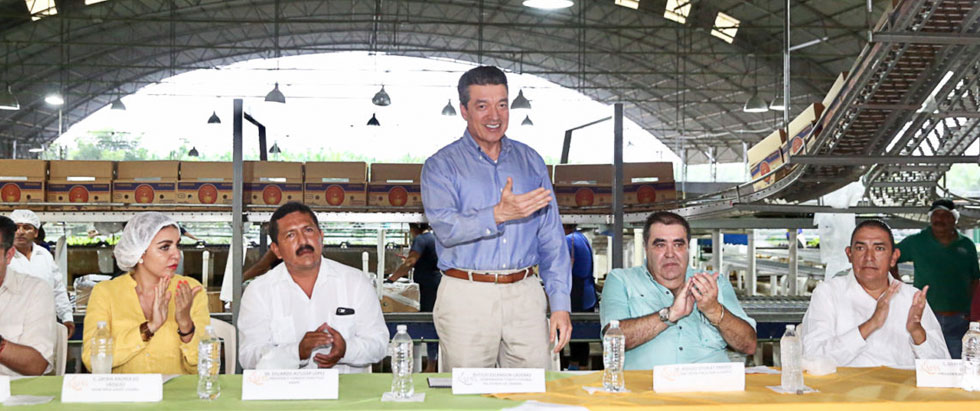 Primer contenedor de exportación de plátano al mercado de China