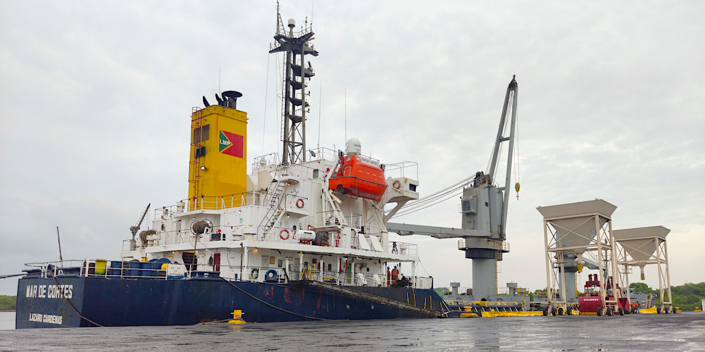 API Puerto Chiapas y Grupo SUVEMO realizan limpieza a las áreas colindantes del recinto portuario