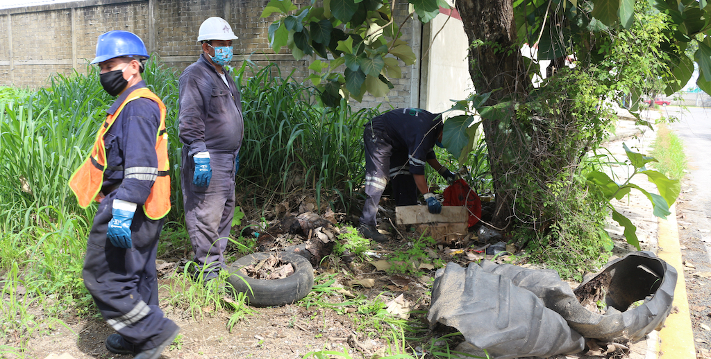 API Puerto Chiapas y Grupo SUVEMO realizan limpieza a las áreas colindantes del recinto portuario