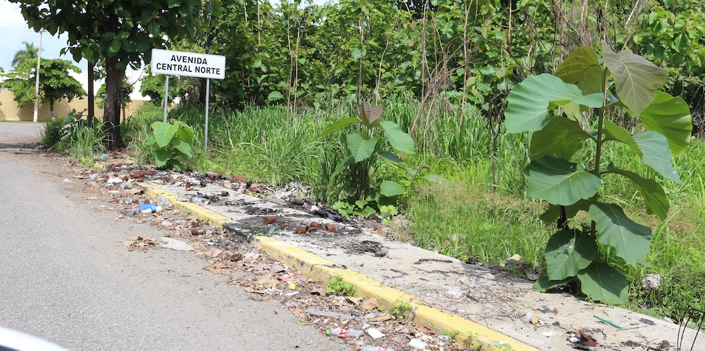 API Puerto Chiapas y Grupo SUVEMO realizan limpieza a las áreas colindantes del recinto portuario