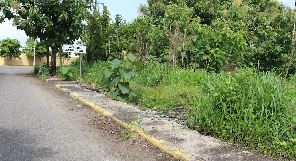 API Puerto Chiapas y Grupo SUVEMO realizan limpieza a las áreas colindantes del recinto portuario