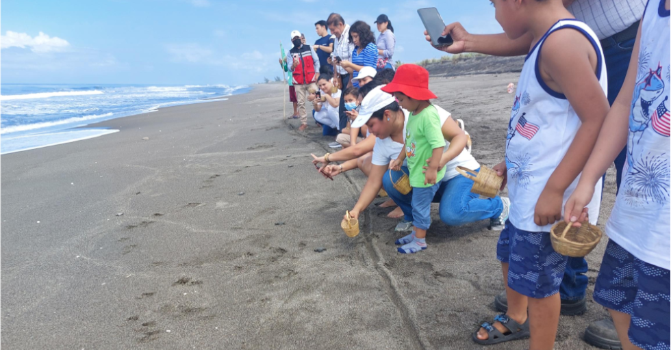 Taller de Educación Ambiental