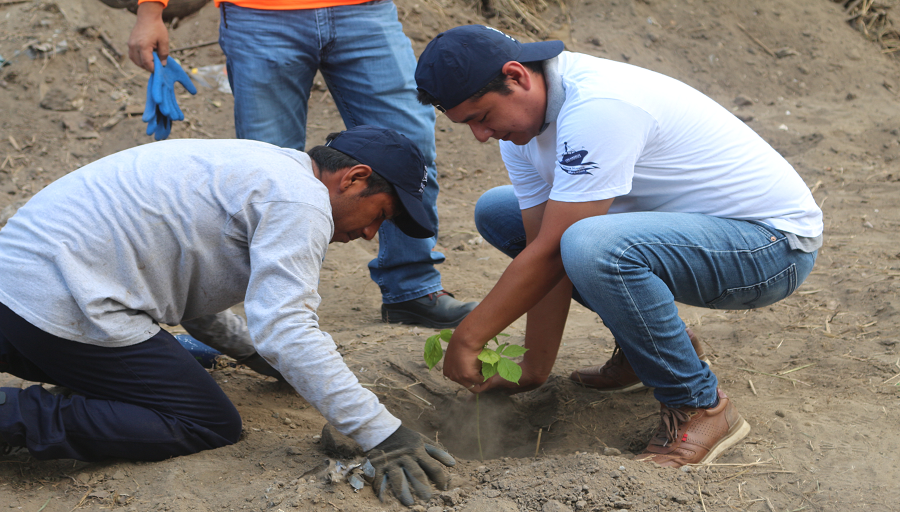 Día Mundial del Medio Ambiente y  Día Mundial de los Océanos