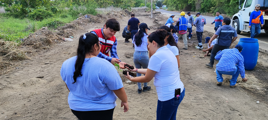Día Mundial del Medio Ambiente y  Día Mundial de los Océanos