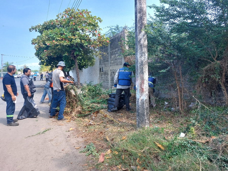 Día Mundial del Medio Ambiente y  Día Mundial de los Océanos