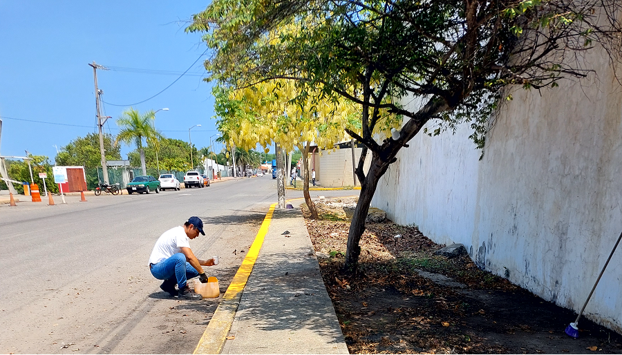 Día Mundial del Medio Ambiente y  Día Mundial de los Océanos