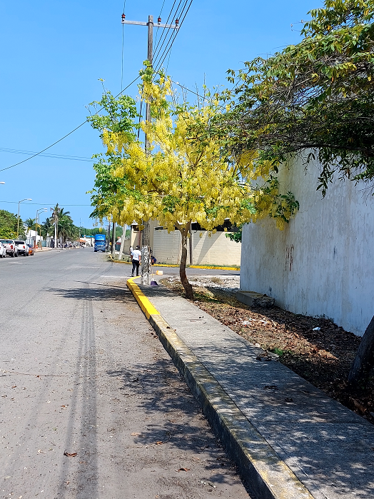 Día Mundial del Medio Ambiente y  Día Mundial de los Océanos