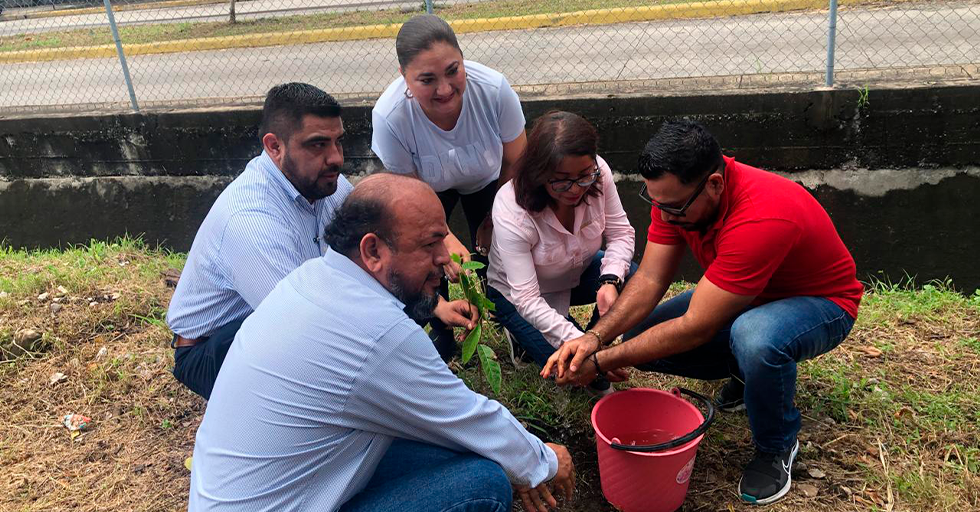 Acciones de concientización día mundial de la tierra