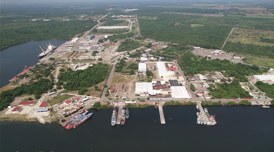 ¡Acción por el Medio Ambiente!