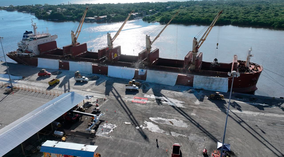 ¡Acción por el Medio Ambiente!